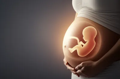 Illustration conceptus - Image 1