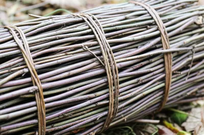 Illustration faggot - Image 1