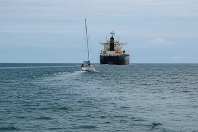 Illustration crowds - Image 1