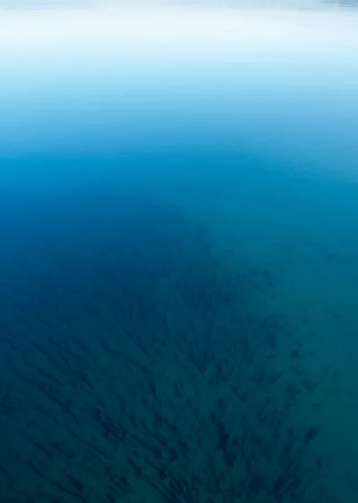 Illustration deepened - Image 1