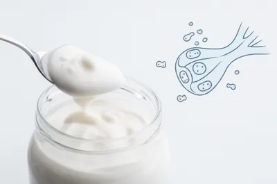 Illustration lactic - Image 1