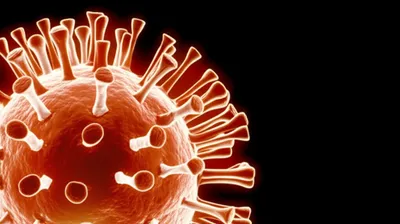 Illustration attenuates - Image 1