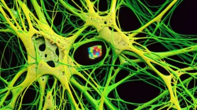 Illustration glob - Image 1