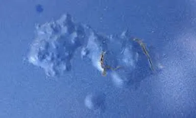 Illustration bulge - Image 2