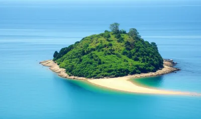 Illustration holme - Image 1