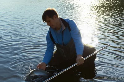 Illustration hooks - Image 1