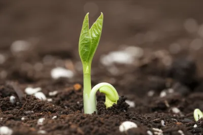 Illustration shoot - Image 1