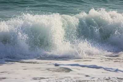 Illustration mush - Image 1