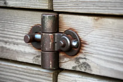 Illustration gudgeon - Image 1