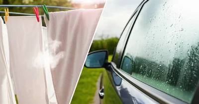 Illustration dryer - Image 1