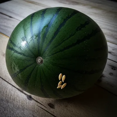 Illustration thud - Image 1