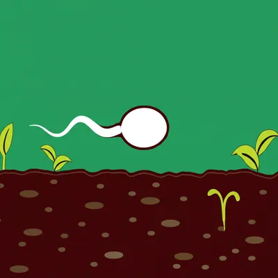 Illustration inseminating - Image 1