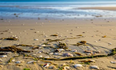 Illustration ebb - Image 1