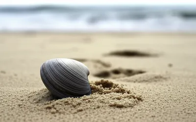 Illustration reticence - Image 1