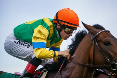 Illustration silk - Image 1