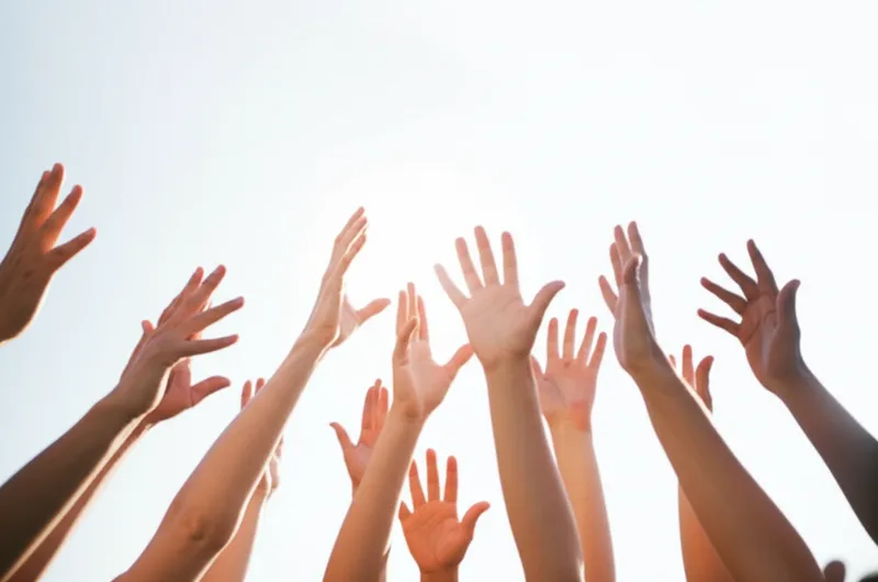 Illustration visuelle du mot « arms » - Bras