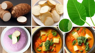 Illustration taros - Image 1