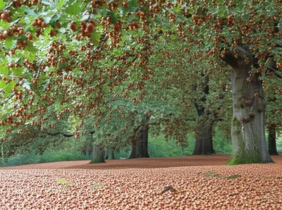 Illustration masting - Image 1