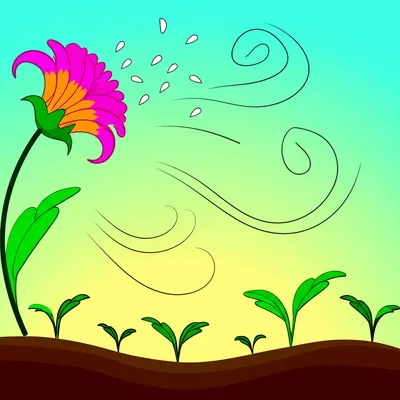 Illustration reproductions