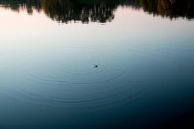 Illustration wimple - Image 1