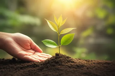 Illustration educations