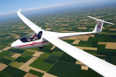 Illustration gliders - Image 1