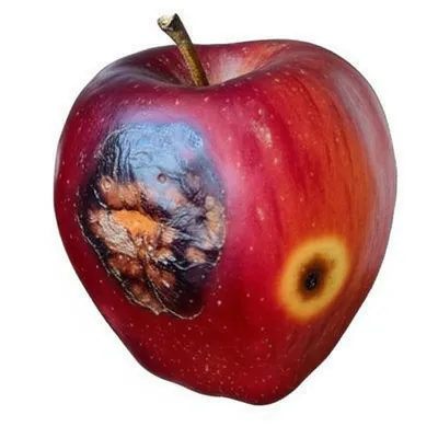 Illustration spoiled - Image 1