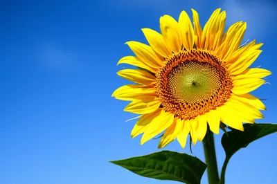 Illustration timely - Image 1