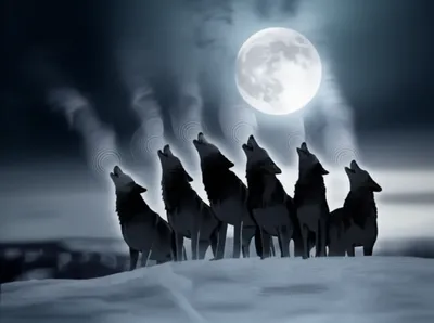 Illustration baying - Image 1