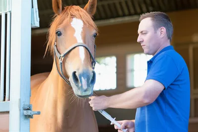 Illustration drenching - Image 1