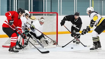 Illustration defences - Image 1