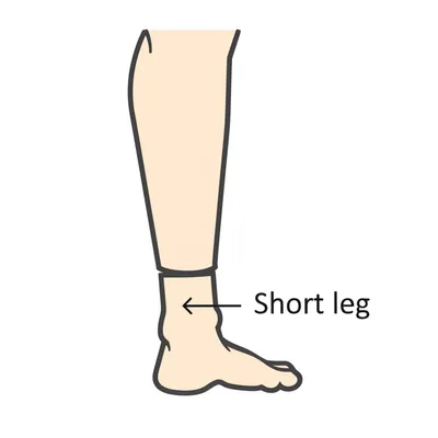 Illustration base - Image 1