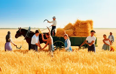 Illustration harvesting - Image 1