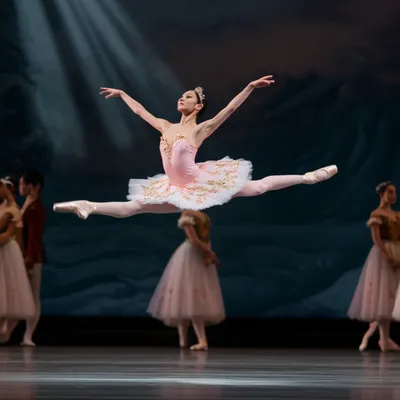 Illustration ballerina - Image 1