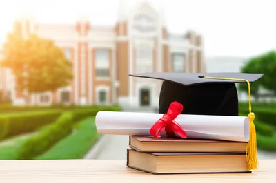 Illustration masters - Image 1