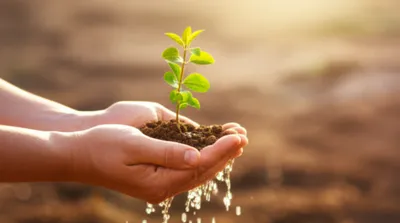 Illustration tent - Image 1