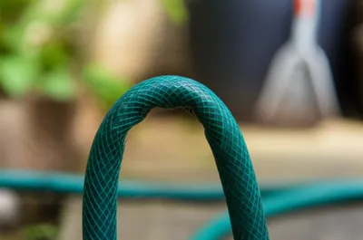 Illustration kinking - Image 1