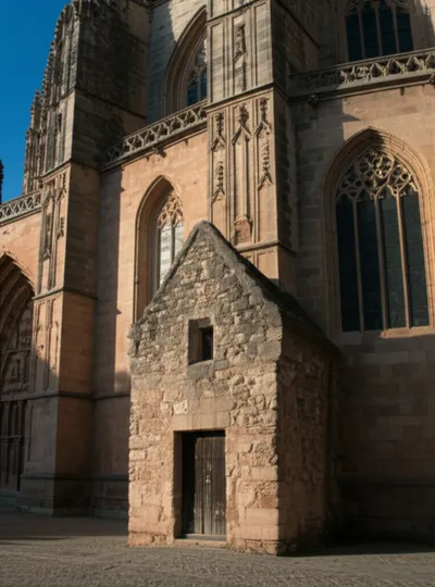 Illustration cell - Image 1