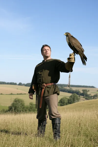 Illustration falcons - Image 1