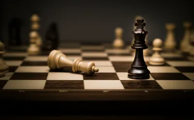 Illustration sacks - Image 1