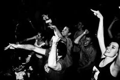 Illustration jungle - Image 2