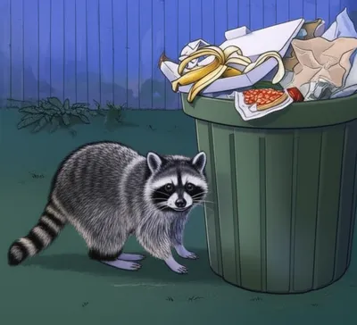Illustration raccoons - Image 1