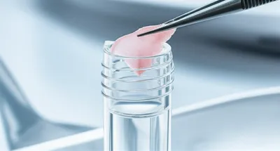 Illustration tubed - Image 1