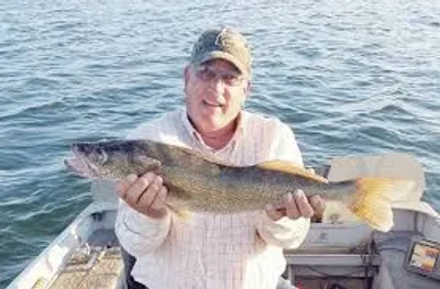 Illustration keeper - Image 3