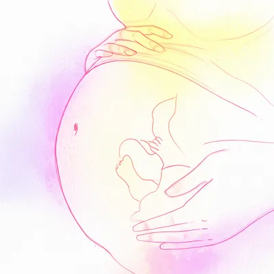 Hình ảnh minh họa quicken - Ảnh 1