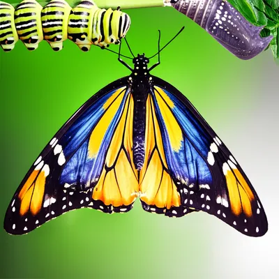 Illustration becomes - Image 1