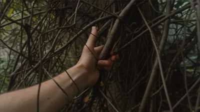 Illustration intricate - Image 1