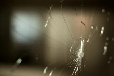 Illustration check - Image 1