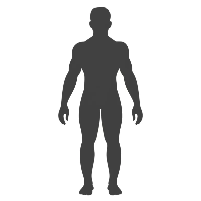 Hình ảnh minh họa cho từ "men" - Đàn ông, người đàn ông.
