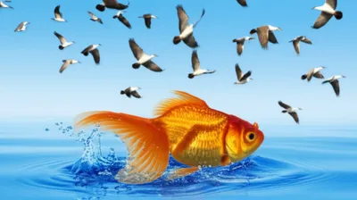 Illustration flops - Image 1